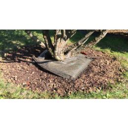 COUSSIN D'ARROSAGE TREEBED