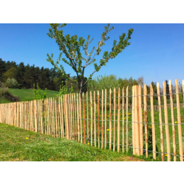 GANIVELLE CHATAIGNIER 5/7 SCIE