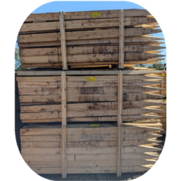 PIQUET CHATAIGNIER 1/4 EPOINTE SCIE ECORCE