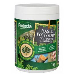 PHYTOPAST G EN 1KG