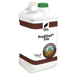 PRALIGEL FLO EN 10L