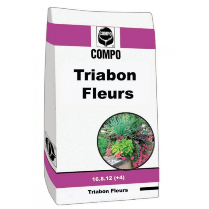 TRIABON FLEURS 16.8.12