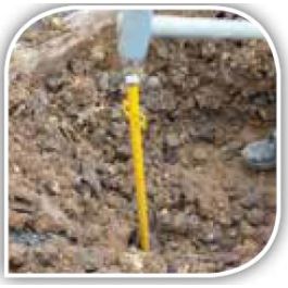 Collier De Tuteurage En Caoutchouc